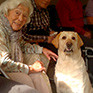 Therapiehund Sidney zu Besuch in der Tagespflege Bad Reichenhall